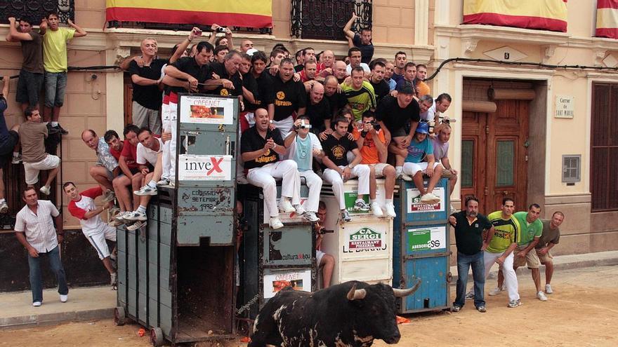 Los veterinarios de Castellón cargan contra el decreto del bou al carrer: No garantiza el bienestar animal