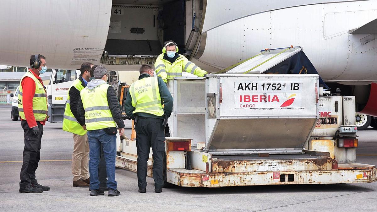 Sanidad recibe una nueva remesa de vacunas contra la Covid-19 en el aeropuerto de Tenerife.