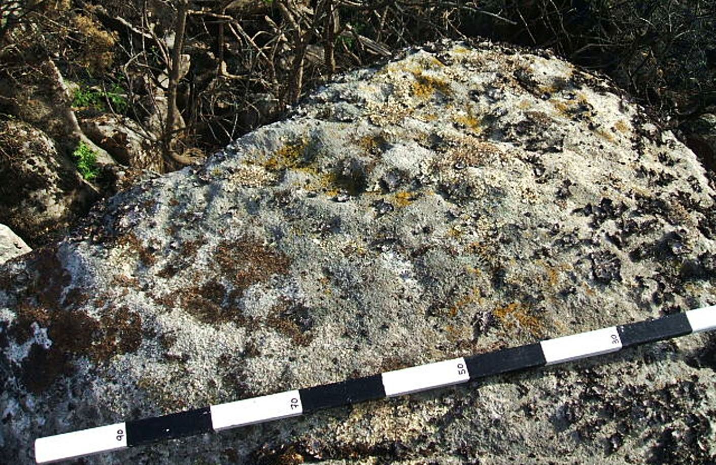 &#039;Coviñas&#039; en una piedra del entorno.