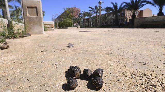 Excrementos de una mascota en un parque de Elche, que es lo que quiere combatir la nueva ordenanza de convivencia.