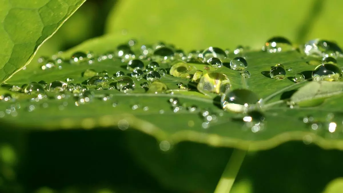 Desarrollan un sistema para generar electricidad con agua de lluvia