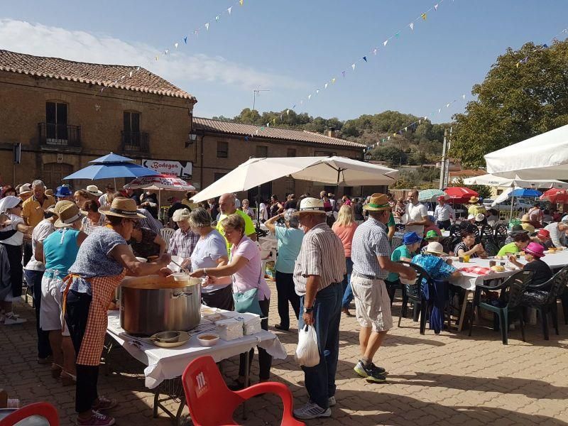 Fiesta de la Vendimia en Venialbo