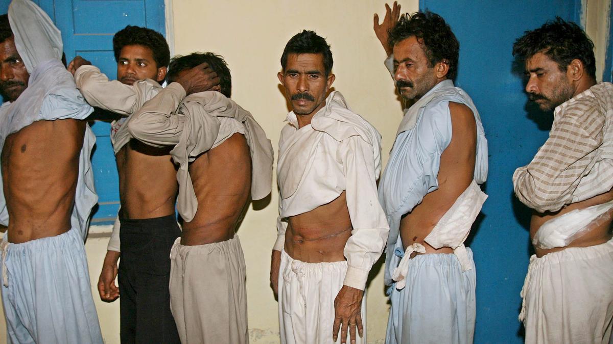 Mafias de ciberestafa en Asia obligan a algunos trabajadores esclavos a vender sus órganos