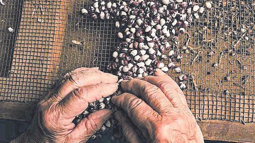 Restaurant Maca de Castro: de la terra al plat