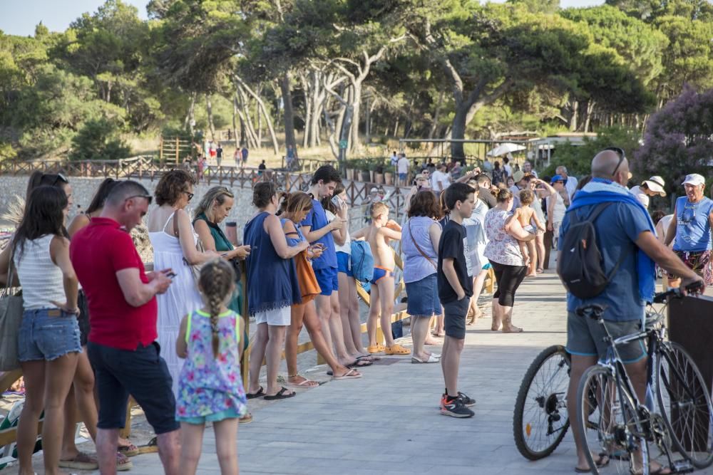 Les fotos del casament del milionari nord-americà a Empúries