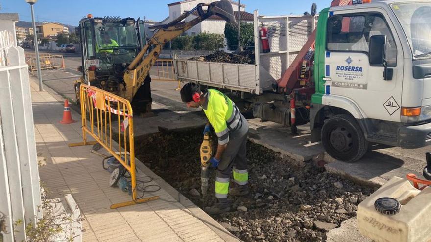 Roses planta nou arbrat a Santa Margarida