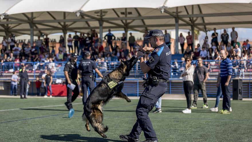 Unidades de emergencia caninas entrenan en La Nucia en una estructura colapsada tras una catástrofe