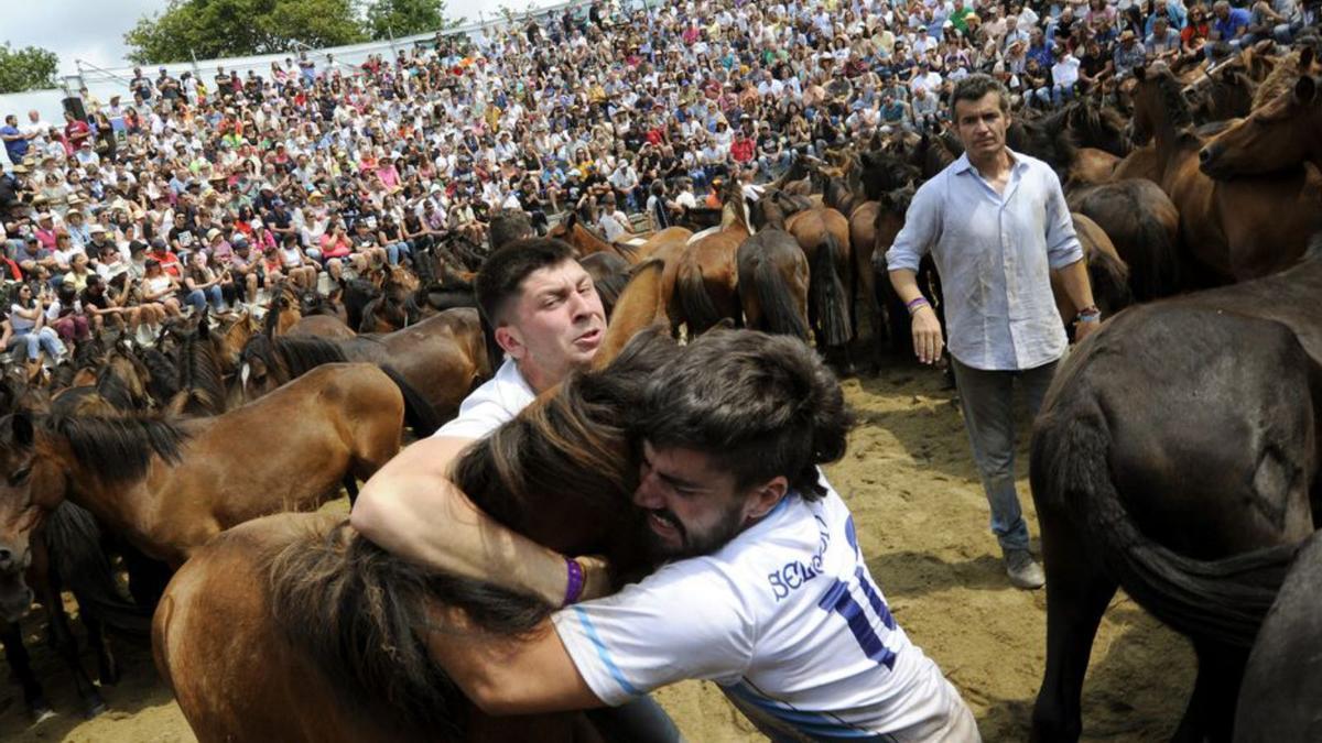 Rapa das bestas de Sabucedo.  | // BERNABÉ/JAVIER LALÍN