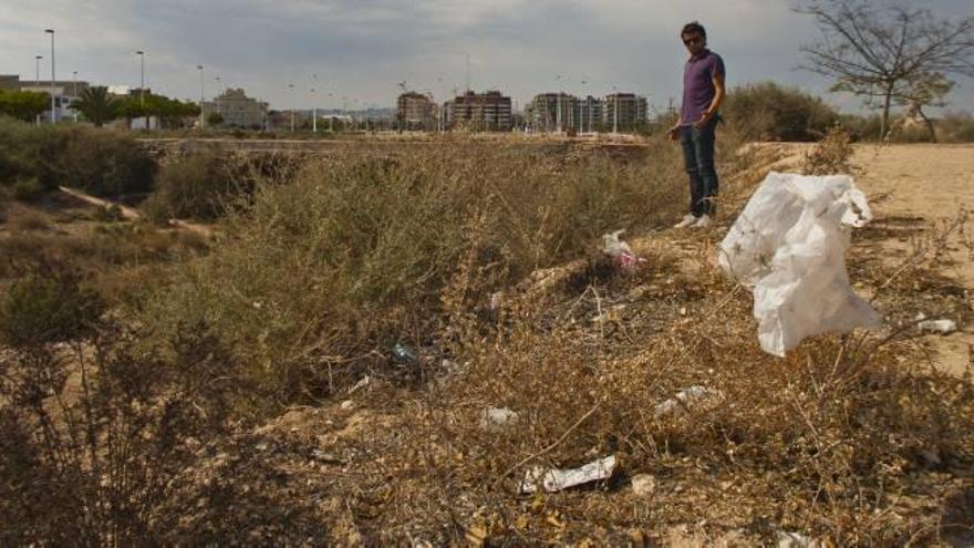 El barranco de San Antón está repleto de matorrales, maleza, escombros y desperdicios