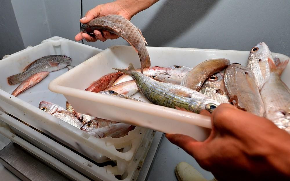 Jornada Conociendo la acuicultura de Gran Canaria