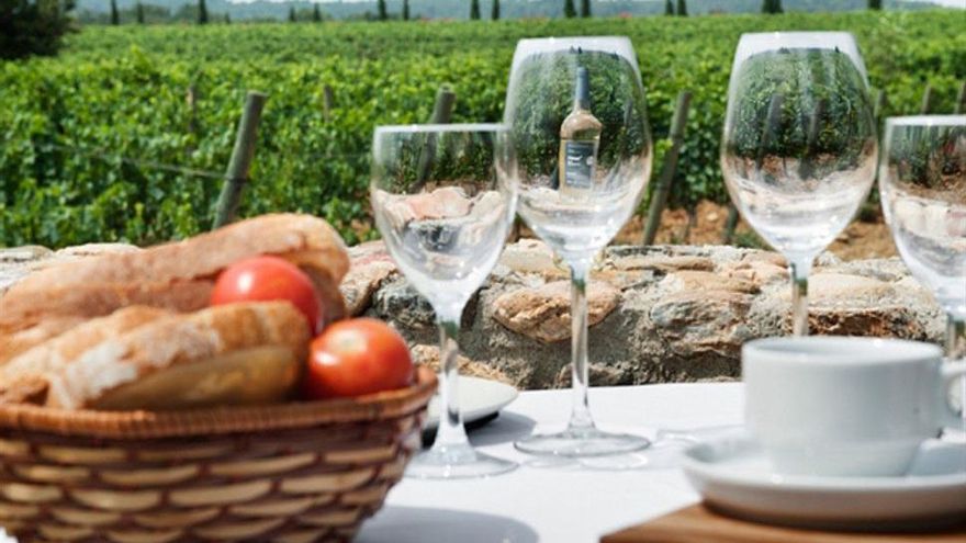Esmorzar entre vinyes al Celler La Vinyeta