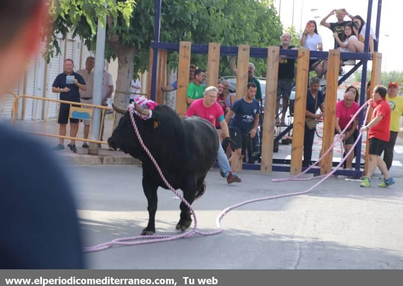 Bou en corda en les Alqueries