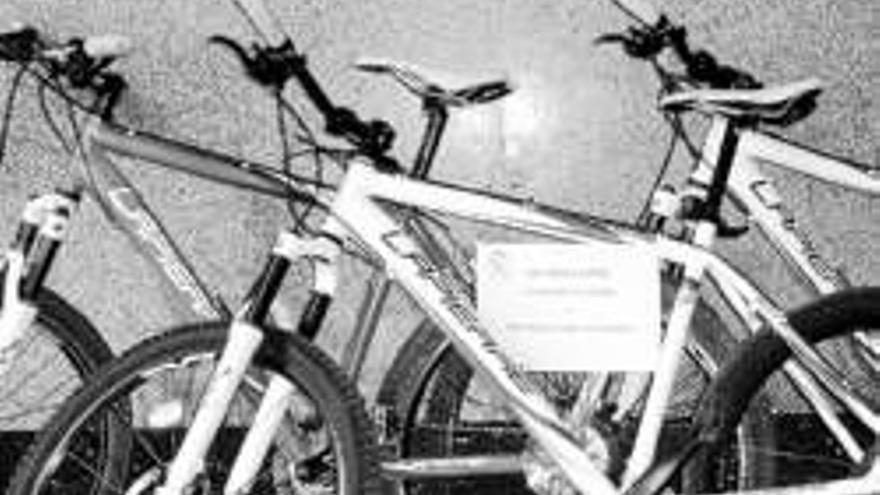 Cinco detenidos por robar 14 bicis valoradas en 9.000 euros