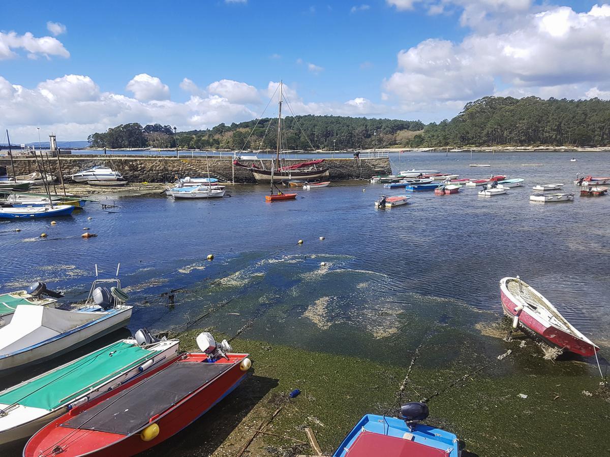 La Isla de Cortegada desde el puerto de Carril