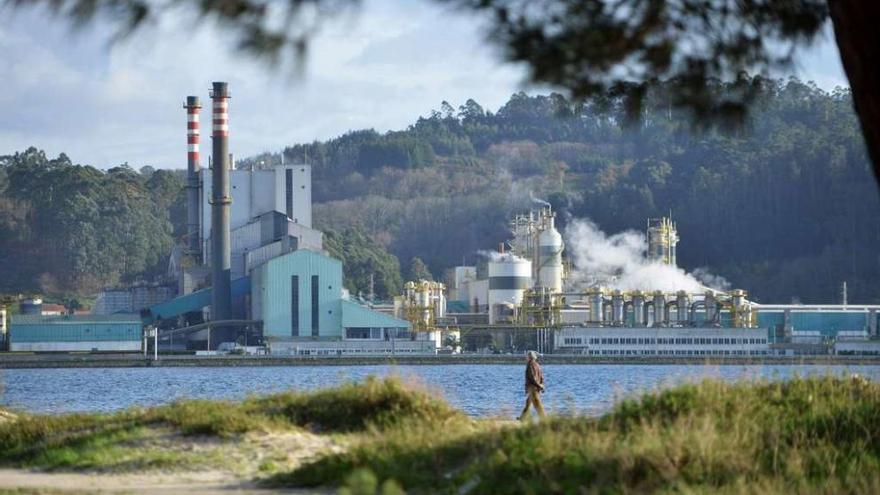 Complejo industrial de Ence en Lourizán, visto desde la playa de Lourido, en Poio, en la orilla opuesta de la ría. // Gustavo Santos