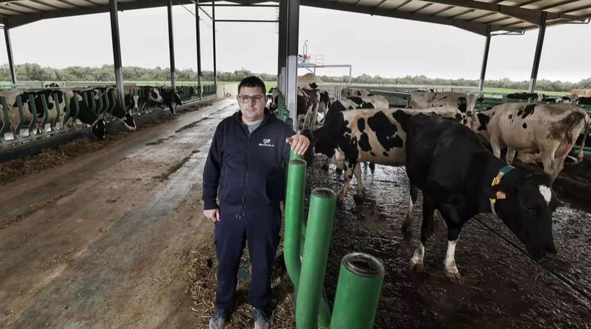 Miquel Vanrell vom Milchvieh-Betrieb Son Carbó in Campos.