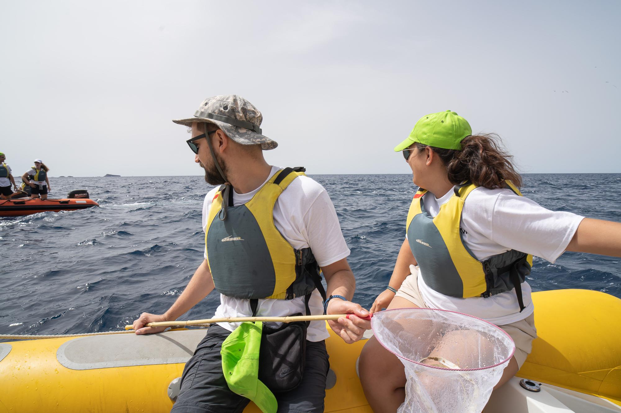 Una veintena de voluntarios participan en la jornada de limpieza del mar convocada por Club Diario de Mallorca