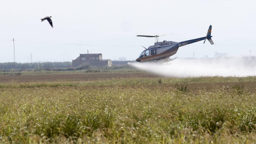 Agricultura prorrogará este año el plan del Botànic que prohíbe la quema de la paja