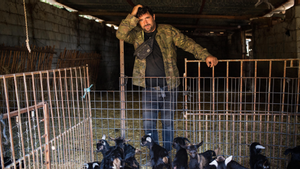 Jesús Manuel Martín Crespo, el cabrero ’youtuber’, en su finca de la Sierra de Gata.  