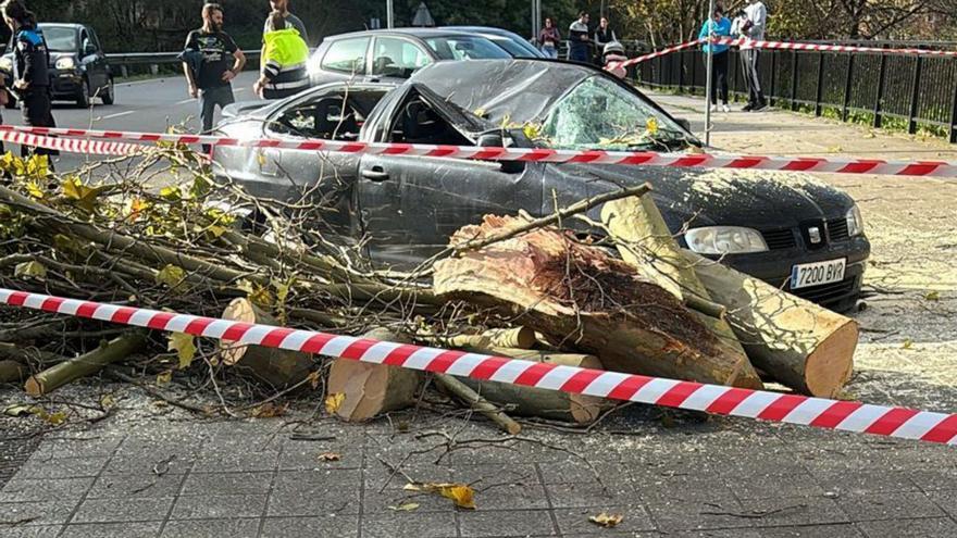 La borrasca &quot;Bert&quot; deja en Mieres más de una treintena de incidencias