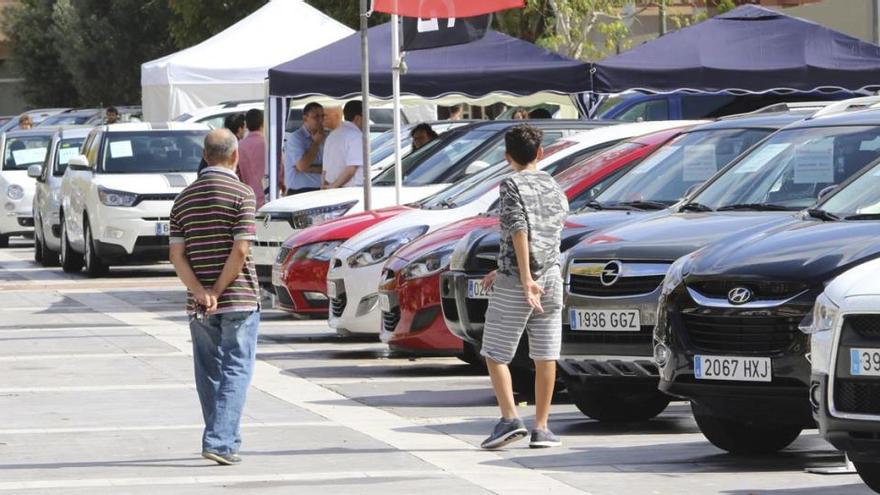 La feria se ha desarrollado este fin de semana en el Boulevar Abel Matutes.