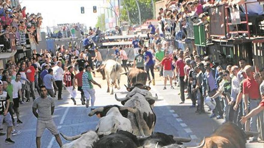 Un emocionante y rápido encierro abre el programa taurino de fiestas