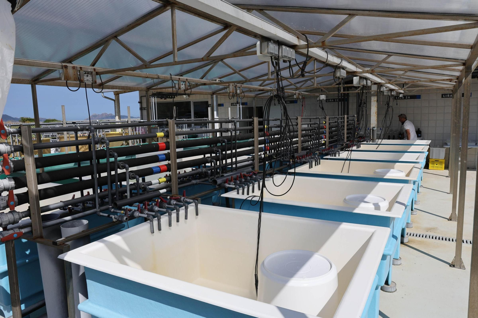Toralla, capital de la investigación de las olas de calor y las mareas rojas