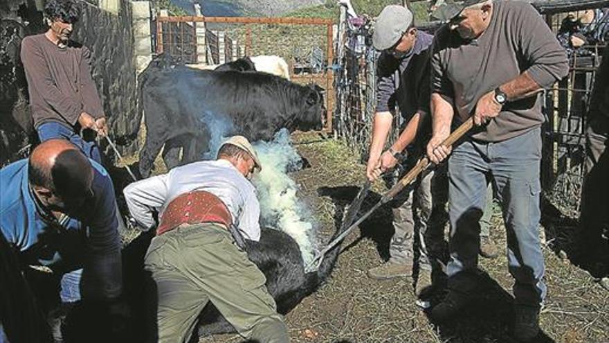 Fotos de Barrado y Gata, premiadas por Diputación