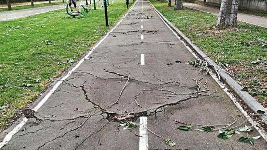 Estado que presenta el carril bici del Prado de las Pavas.