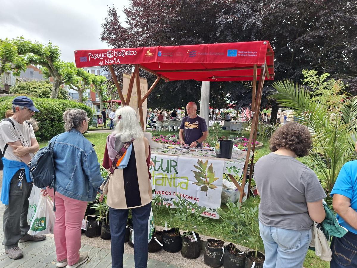 En imágenes: La primera feria de jardinería del Occidente llena La Caridad de color y buen ambiente