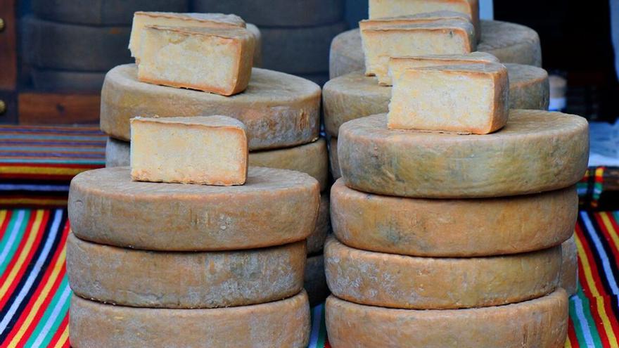 Cuatro quesos de Tenerife, entre los mejores del mundo