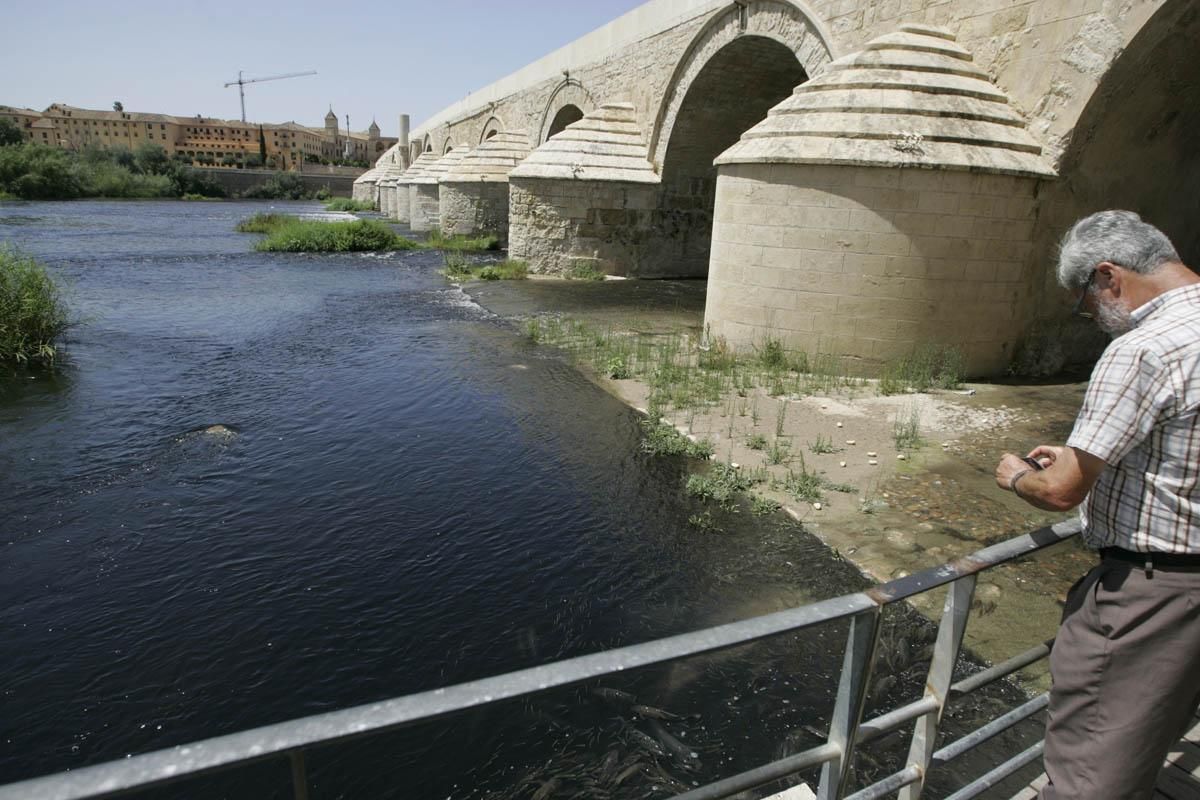 Fotogalería / Vertido de orujo en el Guadalquivir