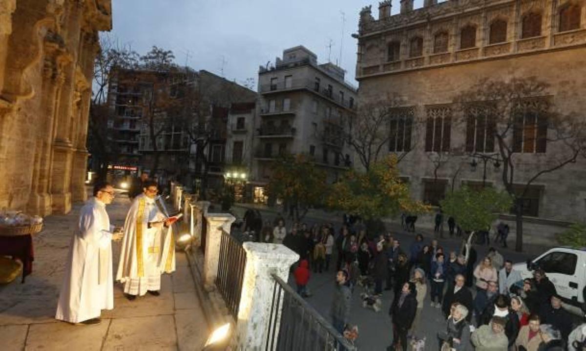 Sant Antoni crece en la jungla del asfalto