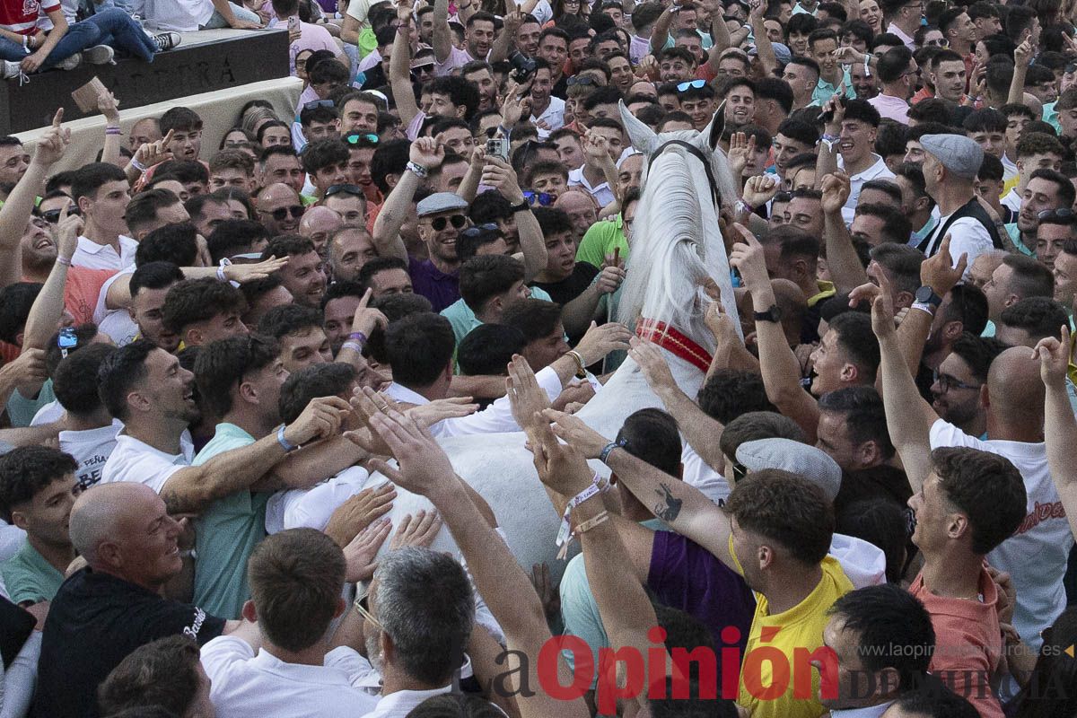 Fiestas de Caravaca | Entrega de premios del concurso morfológico