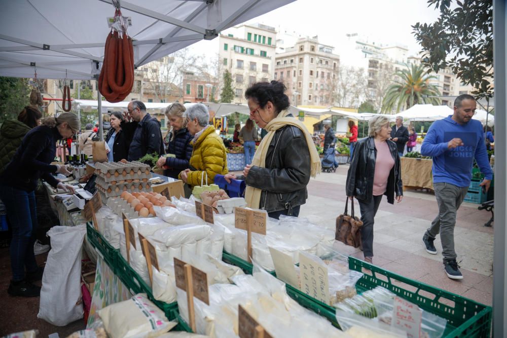 Diez años del Mercat Eco de la plaza de los Patines de Palma