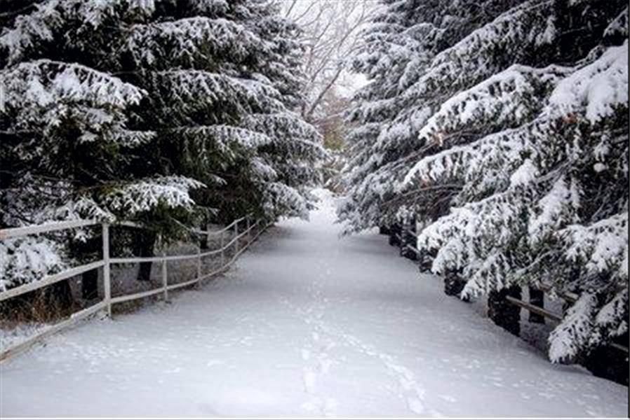 La nieve en Aragón