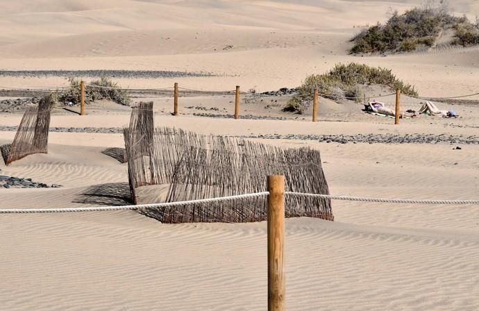 13/05/2019 MASPALOMAS. SAN BARTOLOME DE TIRAJANA. El presiddente del Cabildo de Gran Canria, Antonio Morales, y el consejero de Medio Ambiente y Emergencias, Miguel Ángel Rodríguez, informan del inicio de la segunda fase del proyecto para la recuperación de las dunas de Maspalomas, Masdunas, pionero en el mundo por sus carcterísticas .    Fotógrafa: YAIZA SOCORRO.  | 13/05/2019 | Fotógrafo: Yaiza Socorro