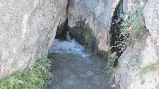 Un centenar de manantiales secos en el Segura por la explotación de pozos