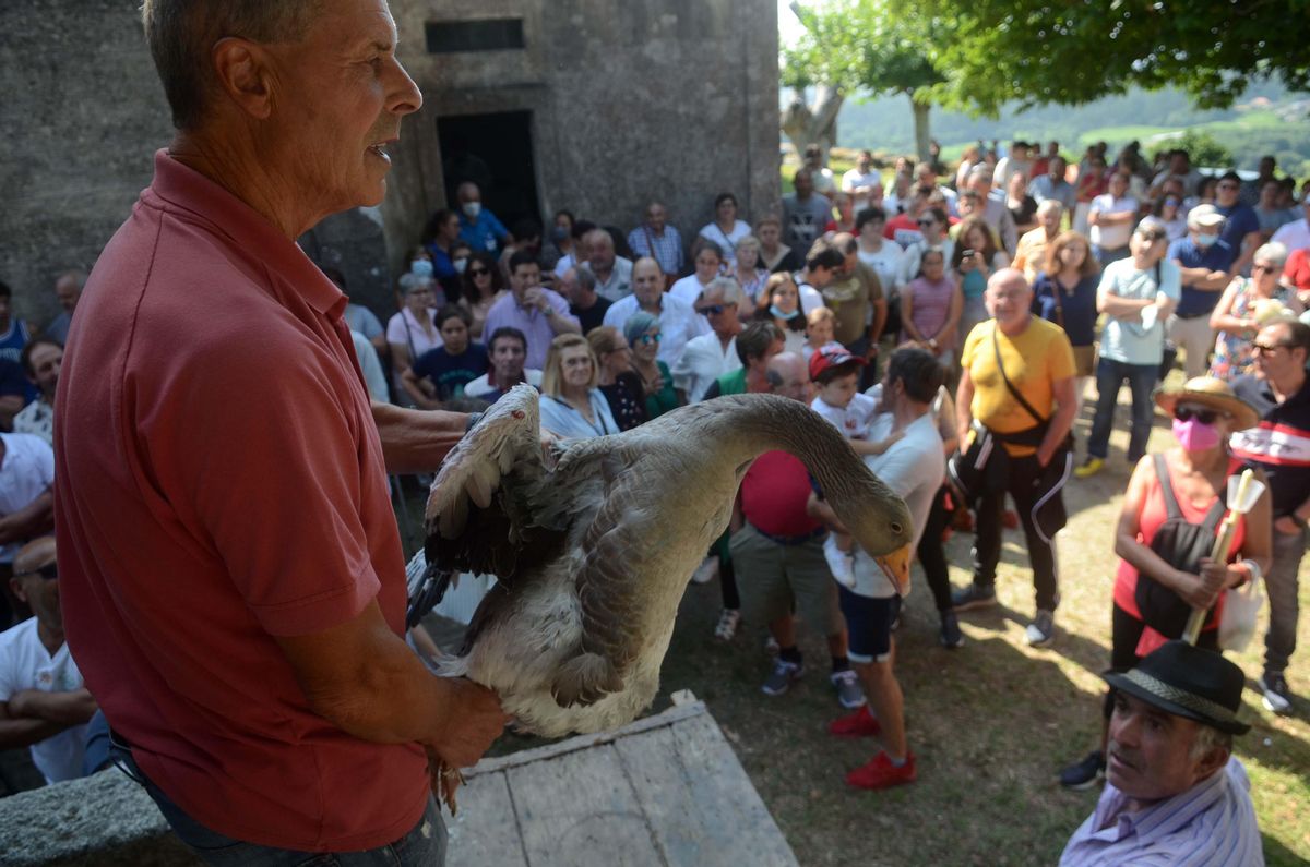 Subasta de una oca, ofrecida a San Benito por los fieles en Meaño
