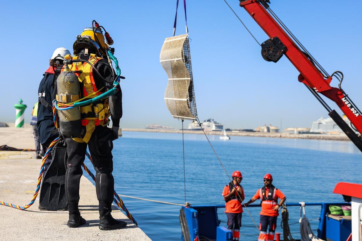 Una de las estructuras del programa RegenPorts de la Fundació BCN Port Innovation, a punto de sumergirse en las aguas de la Bocana Nord, donde contribuirán a regenerar el entorno marino.