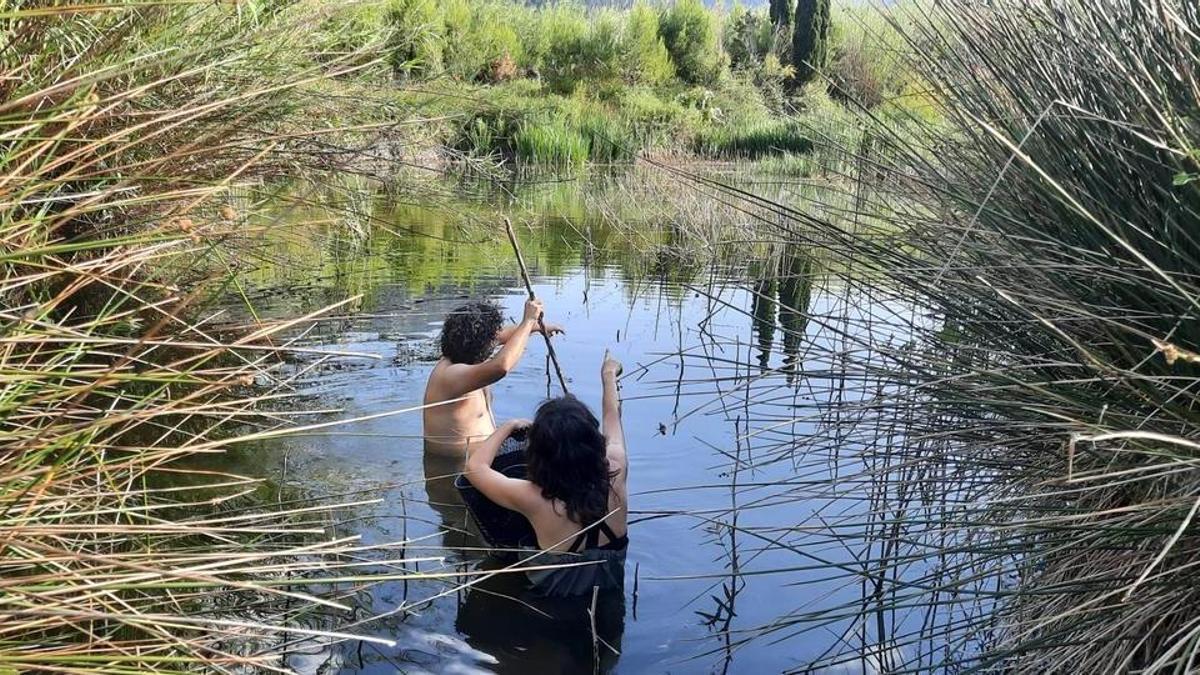 Les voluntàries busquen tortugues autòctones en la zona de l’Ullal de la Fontarda.