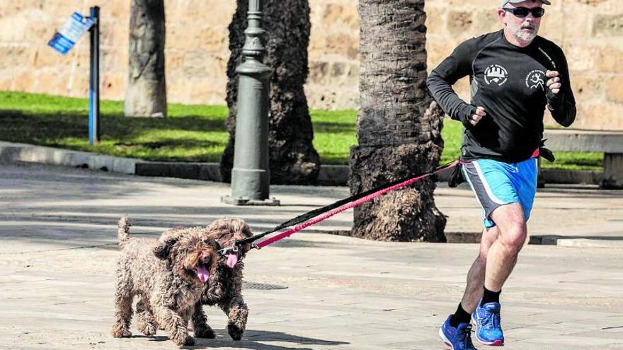 Un hombre sale a correr acompañado de sus dos perros. |  B. RAMON