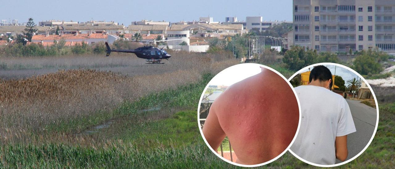 Numerosas quejas vecinales por las picaduras de mosquito en el litoral de Castellón.