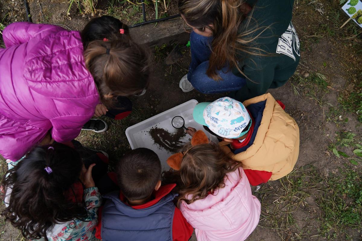 Proyecto educativo en el huerto del Campus Viriato Proyecto educativo en el huerto del Campus Viriato