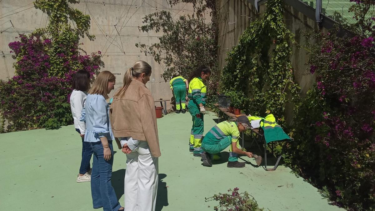 Recuperación paisajística del jardín de El Coso