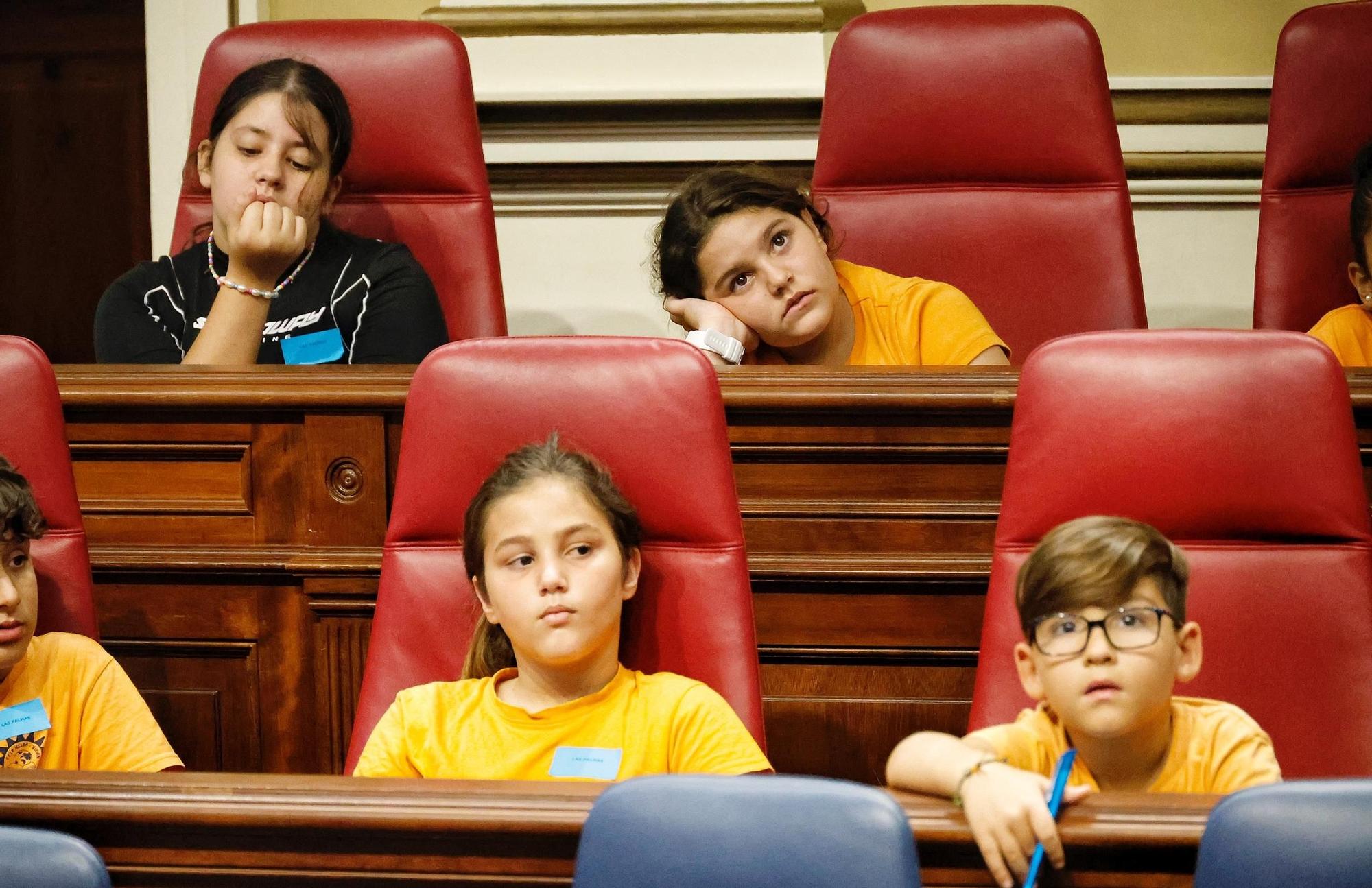 Escolares en el Parlamento de Canarias