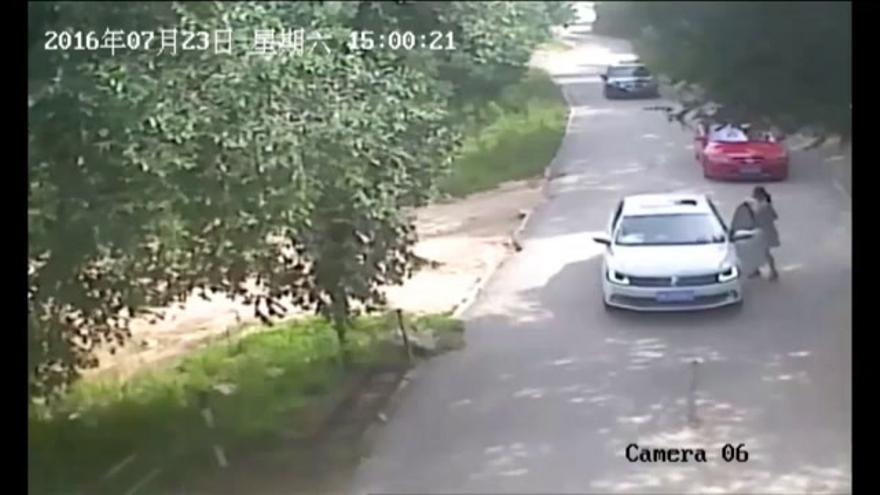 VÍDEO / Ataque mortal de un tigre en un parque safari de China