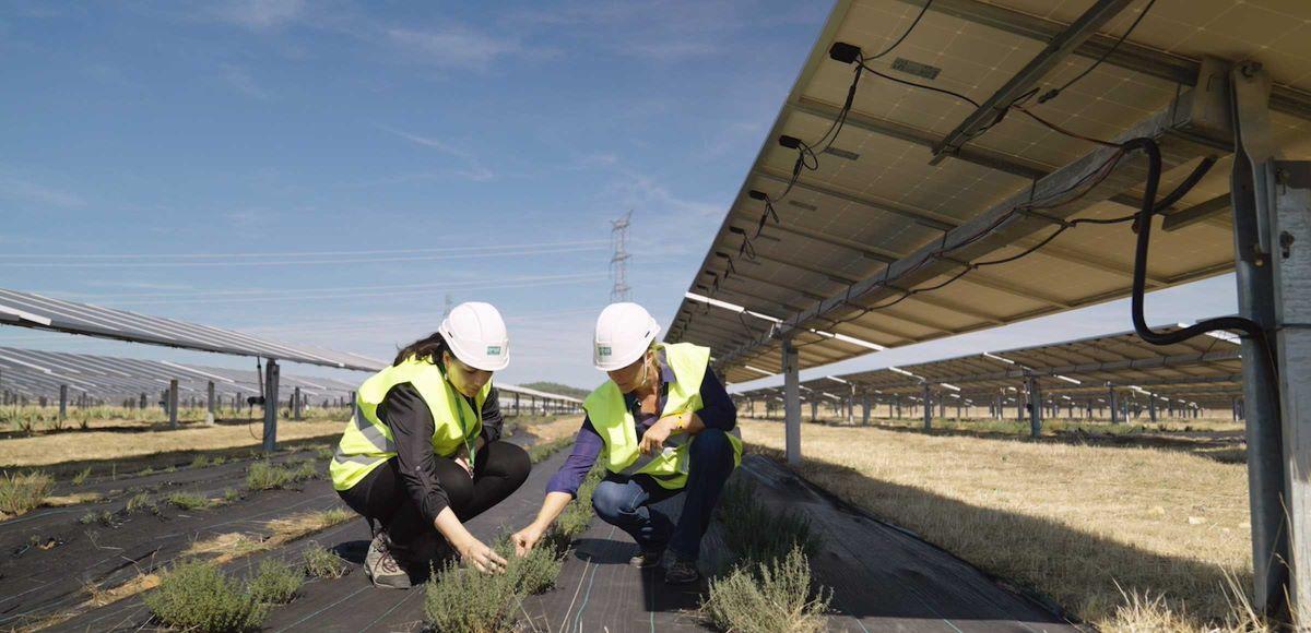 La planta fotovoltaica de Valdecaballeros en Extremadura