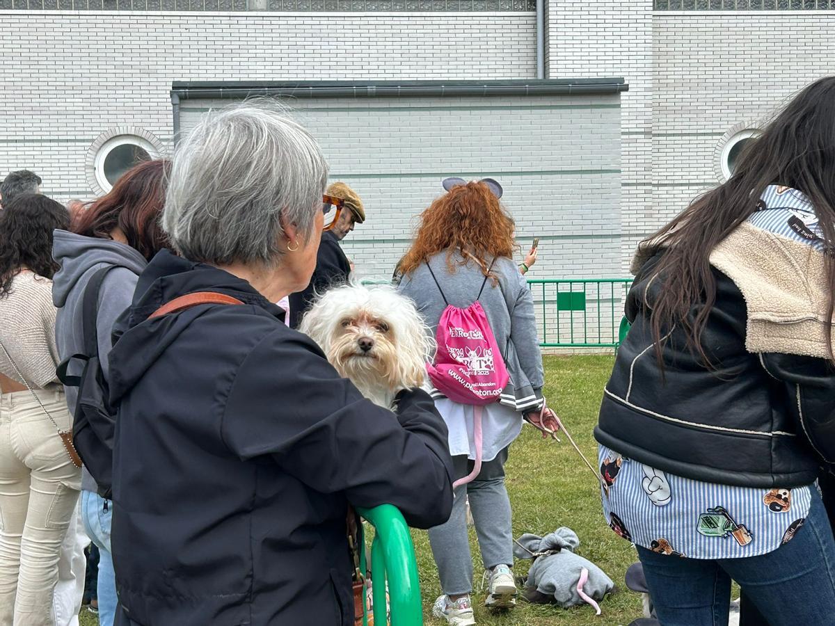 EN IMÁGENES: Así fue el certamen canino "Canstrillón" de Piedras Blancas por San Isidro