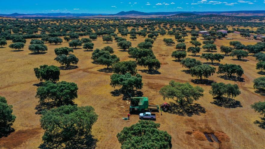 El proyecto minero Oropesa en el Guadiato sigue a la espera de los permisos ambientales